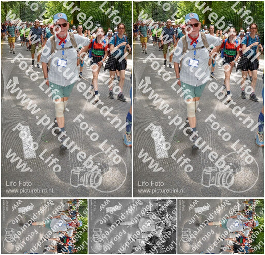 Evenement foto: Nijmeegse Vierdaagse 960
