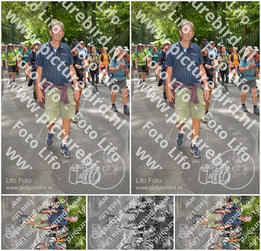 Evenement foto: Nijmeegse Vierdaagse 960