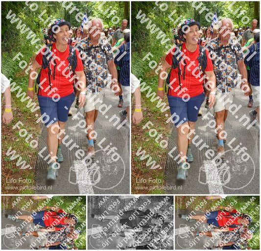 Evenement foto: Nijmeegse Vierdaagse 960