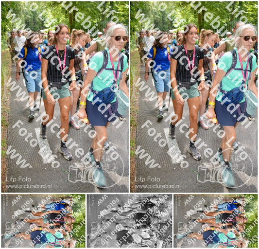 Evenement foto: Nijmeegse Vierdaagse 960