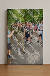 Evenement foto: Nijmeegse Vierdaagse 960