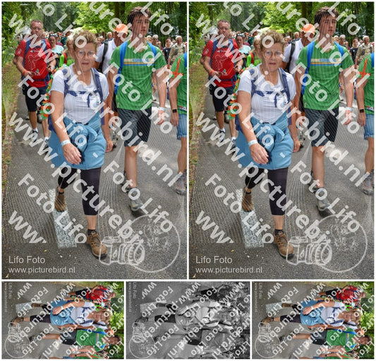 Evenement foto: Nijmeegse Vierdaagse 960