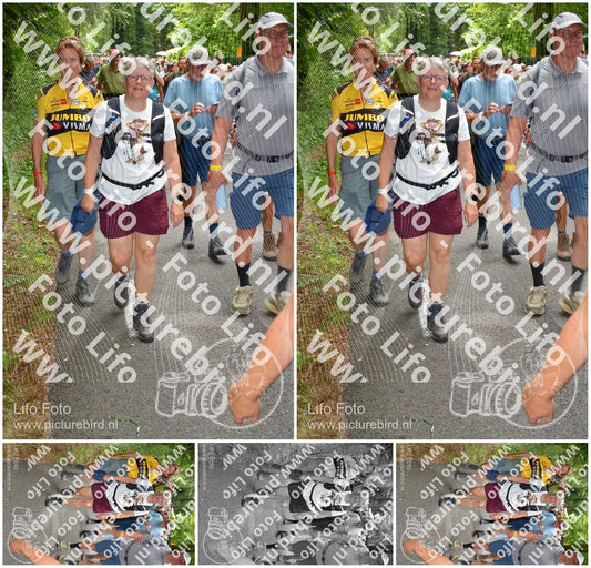 Evenement foto: Nijmeegse Vierdaagse 960