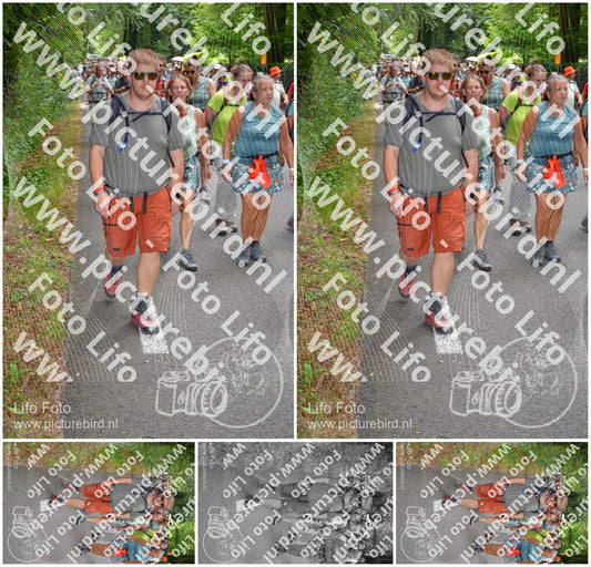 Evenement foto: Nijmeegse Vierdaagse 960