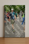 Evenement foto: Nijmeegse Vierdaagse 960