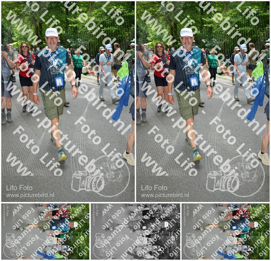 Evenement foto: Nijmeegse Vierdaagse 960