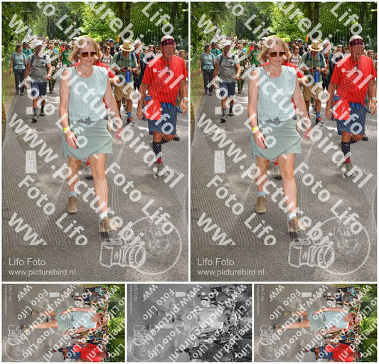 Evenement foto: Nijmeegse Vierdaagse 960