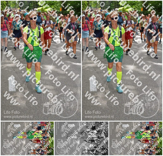 Evenement foto: Nijmeegse Vierdaagse 960