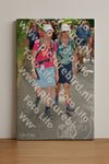 Evenement foto: Nijmeegse Vierdaagse 960