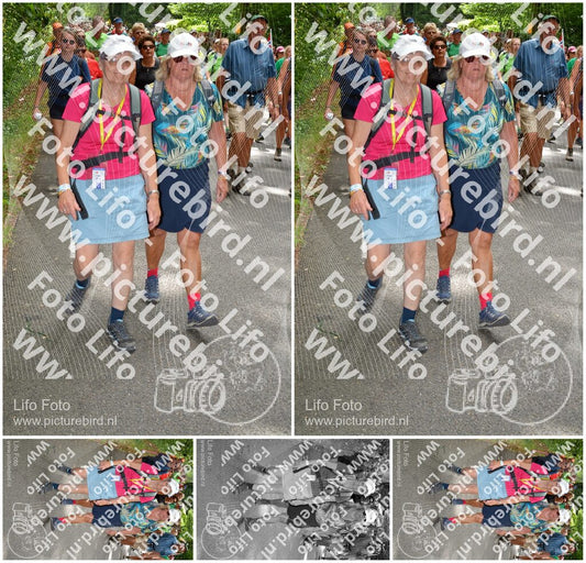 Evenement foto: Nijmeegse Vierdaagse 960