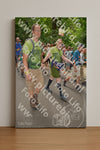 Evenement foto: Nijmeegse Vierdaagse 960