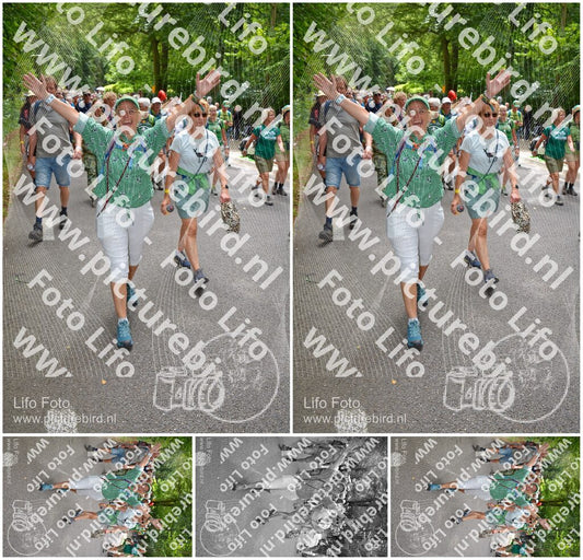 Evenement foto: Nijmeegse Vierdaagse 960