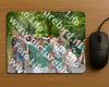 Evenement foto: Nijmeegse Vierdaagse 960