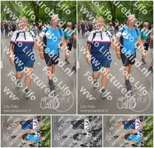 Evenement foto: Nijmeegse Vierdaagse 960