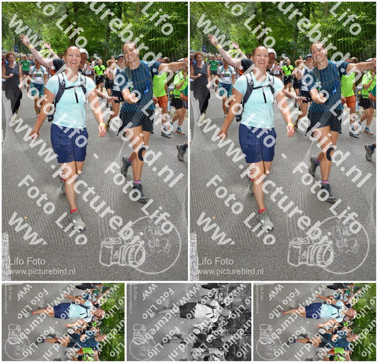 Evenement foto: Nijmeegse Vierdaagse 960