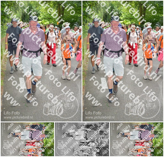 Evenement foto: Nijmeegse Vierdaagse 960