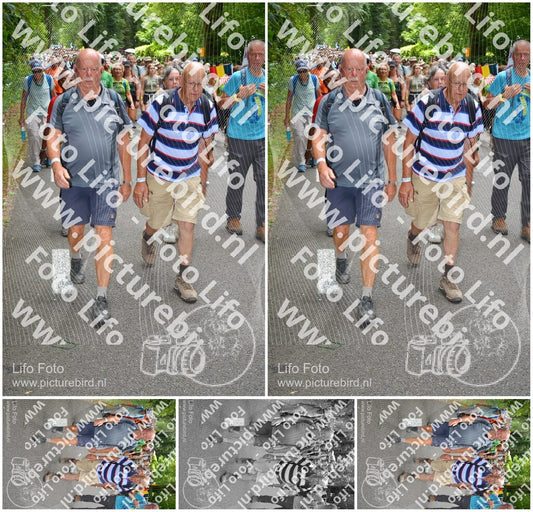 Evenement foto: Nijmeegse Vierdaagse 960