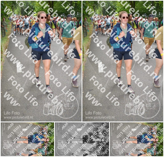 Evenement foto: Nijmeegse Vierdaagse 960