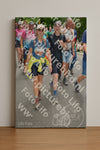 Evenement foto: Nijmeegse Vierdaagse 960