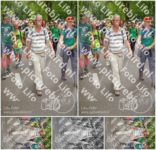 Evenement foto: Nijmeegse Vierdaagse 960