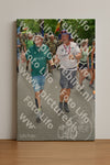Evenement foto: Nijmeegse Vierdaagse 960