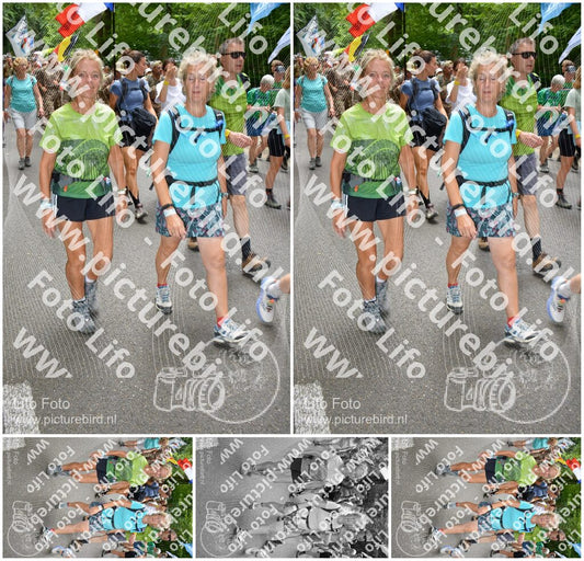 Evenement foto: Nijmeegse Vierdaagse 960