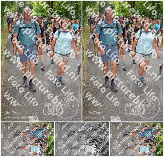Evenement foto: Nijmeegse Vierdaagse 960