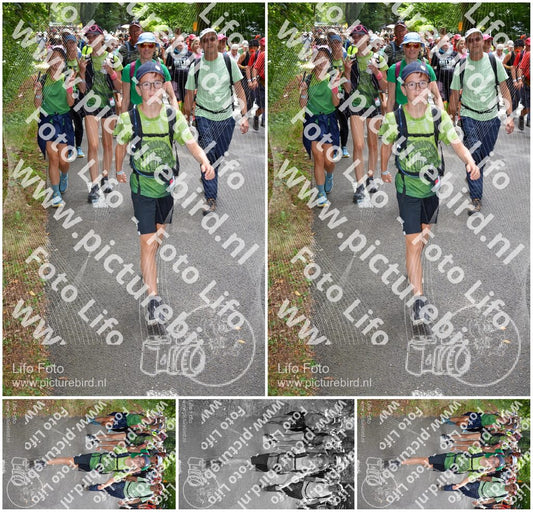 Evenement foto: Nijmeegse Vierdaagse 960