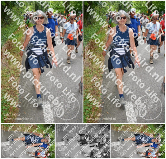 Evenement foto: Nijmeegse Vierdaagse 960
