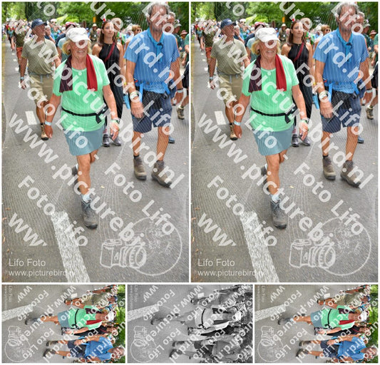 Evenement foto: Nijmeegse Vierdaagse 960
