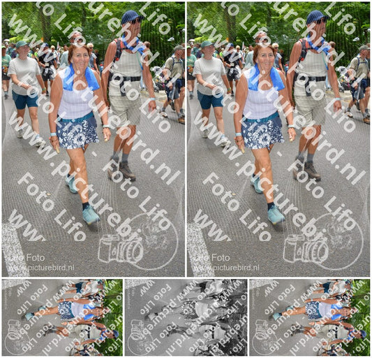 Evenement foto: Nijmeegse Vierdaagse 960