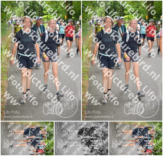 Evenement foto: Nijmeegse Vierdaagse 959