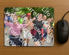 Evenement foto: Nijmeegse Vierdaagse 959