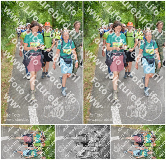 Evenement foto: Nijmeegse Vierdaagse 959