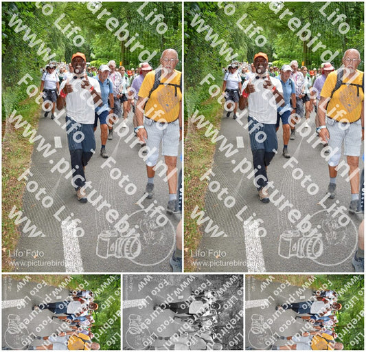 Evenement foto: Nijmeegse Vierdaagse 959