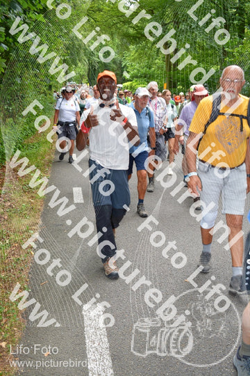 Evenement foto: Nijmeegse Vierdaagse 959