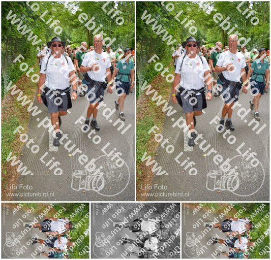 Evenement foto: Nijmeegse Vierdaagse 959