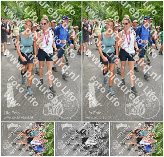 Evenement foto: Nijmeegse Vierdaagse 959