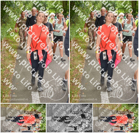 Evenement foto: Nijmeegse Vierdaagse 959