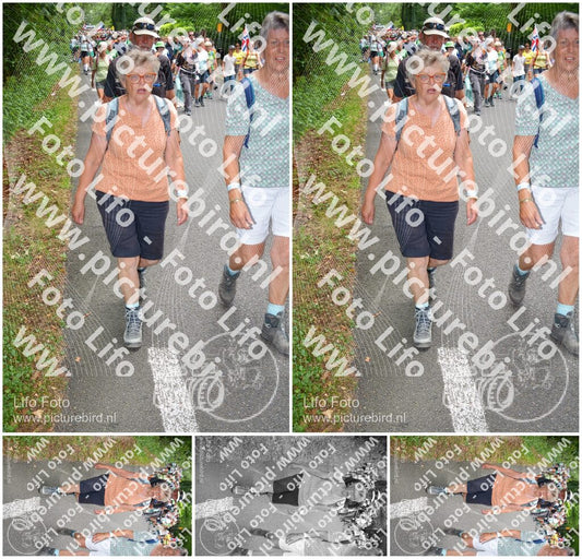Evenement foto: Nijmeegse Vierdaagse 959
