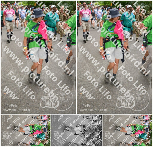 Evenement foto: Nijmeegse Vierdaagse 959