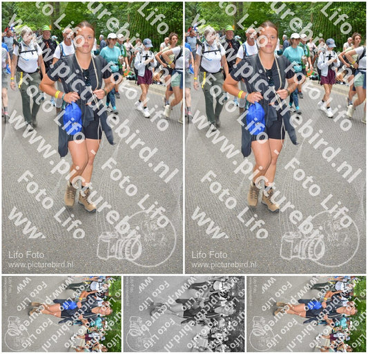 Evenement foto: Nijmeegse Vierdaagse 959