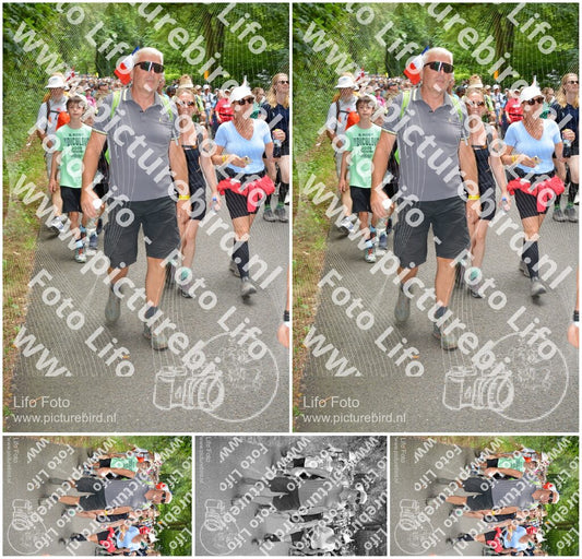 Evenement foto: Nijmeegse Vierdaagse 959