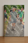 Evenement foto: Nijmeegse Vierdaagse 959