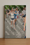 Evenement foto: Nijmeegse Vierdaagse 959