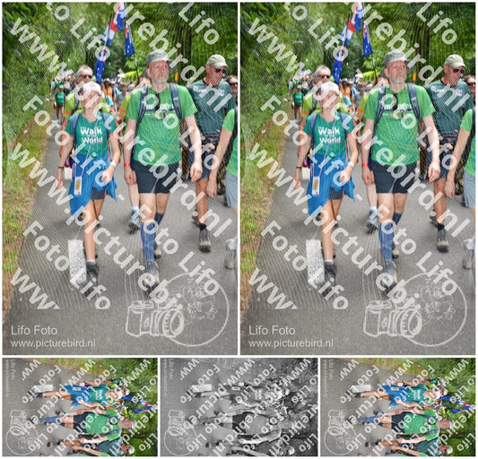 Evenement foto: Nijmeegse Vierdaagse 959
