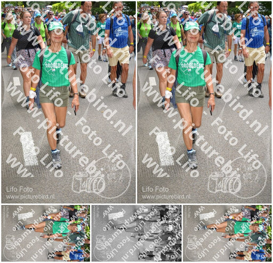 Evenement foto: Nijmeegse Vierdaagse 959