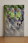 Evenement foto: Nijmeegse Vierdaagse 959