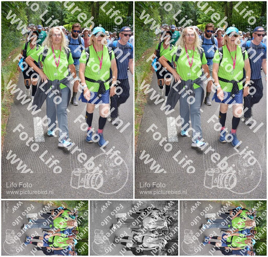 Evenement foto: Nijmeegse Vierdaagse 959