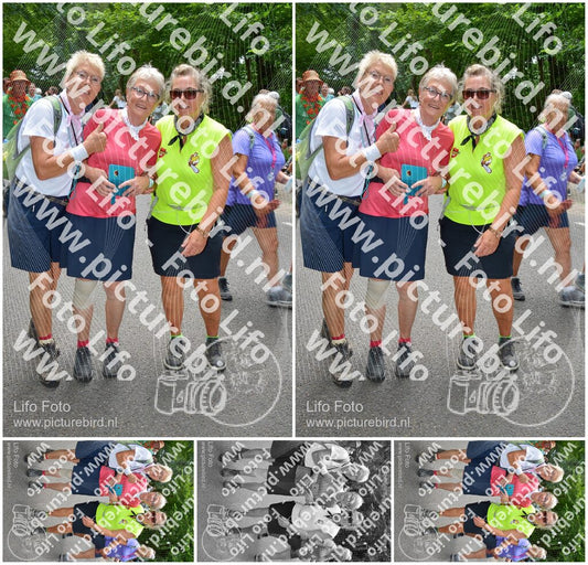 Evenement foto: Nijmeegse Vierdaagse 959